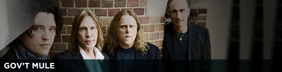 gov't mule